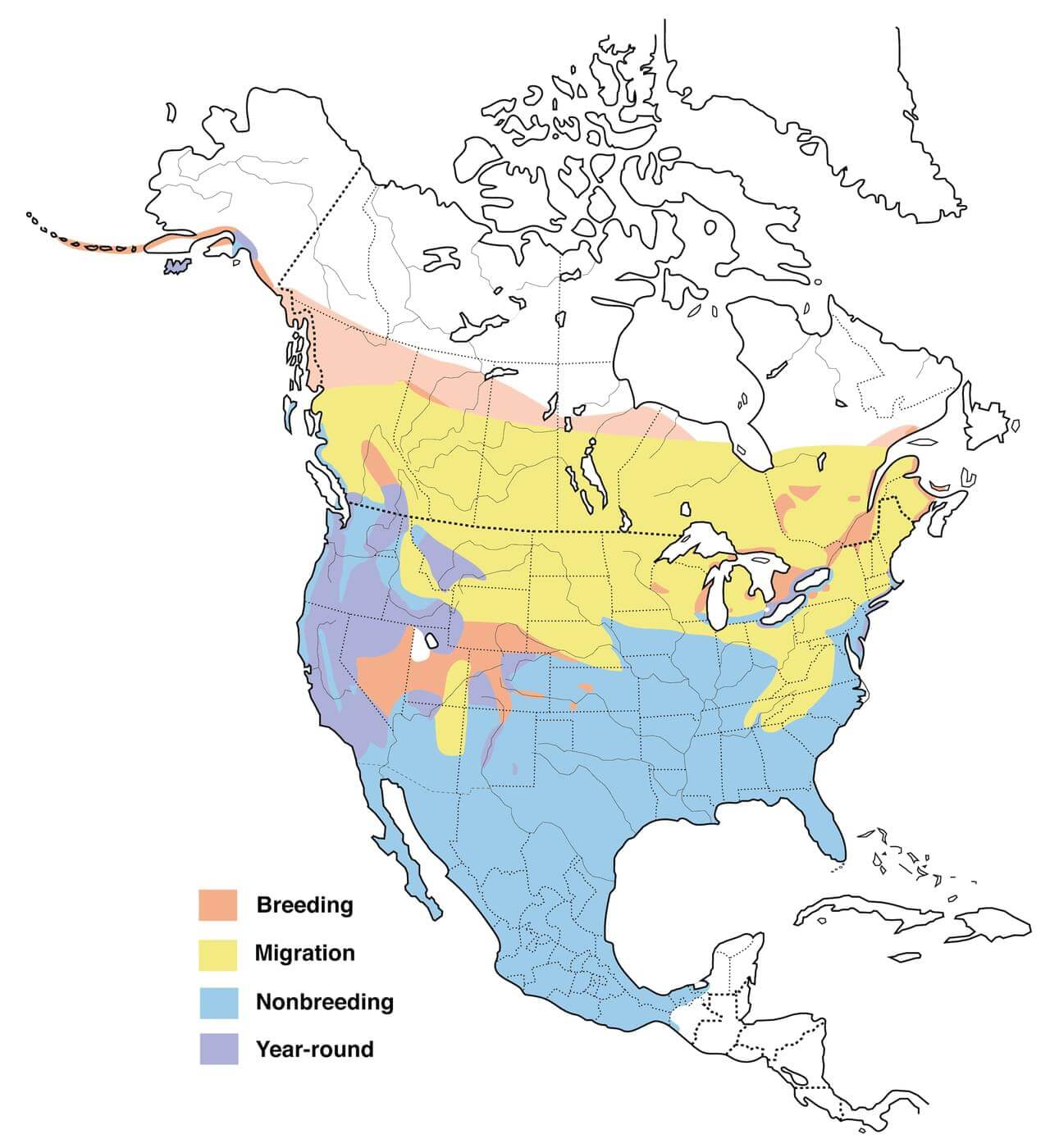Gadwall Range Map